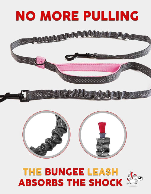 Load image into Gallery viewer, Exquisite Hands Free Double Dog Leash for Small Dogs | Dual Dog Leash | Two Dog Leash No Tangle | Multiple Dog Leash for 2 Dogs | Double Leash | Leash Splitter | Double Clip Leash Coupler
