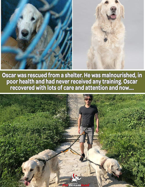 Load image into Gallery viewer, Exquisite Hands Free Double Dog Leash for Small Dogs | Dual Dog Leash | Two Dog Leash No Tangle | Multiple Dog Leash for 2 Dogs | Double Leash | Leash Splitter | Double Clip Leash Coupler
