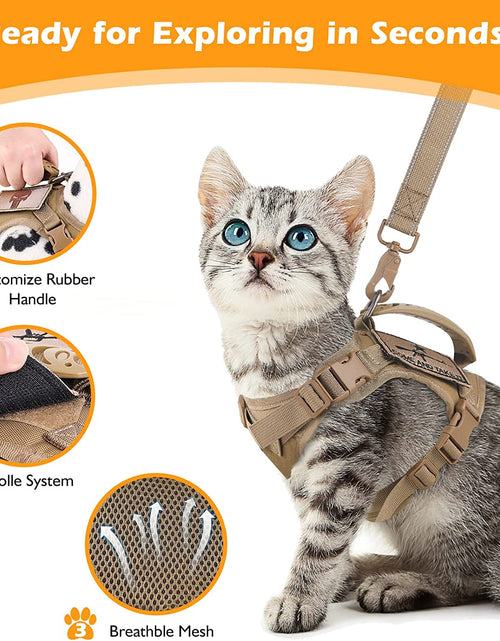 Load image into Gallery viewer, Tactical Cat Harness and Leash Set for Walking Escape Proof, Adjustable Large Cat Vest Harness with Molle Patches, Soft Mesh Padding, Rubber Handle Easy to Control
