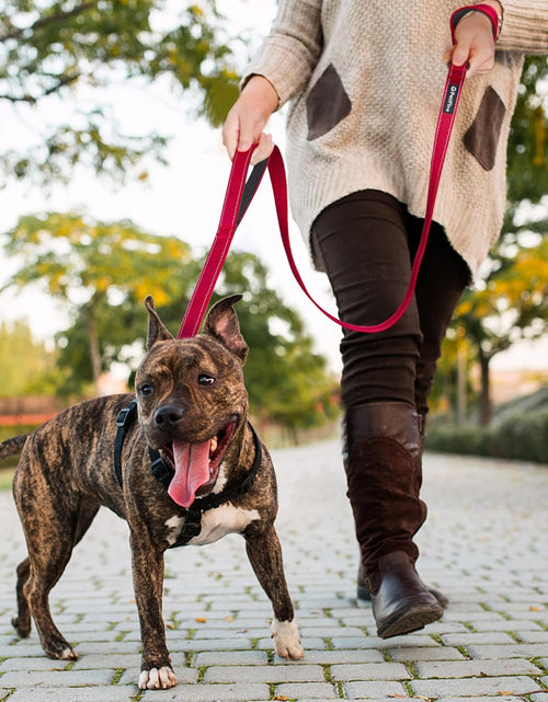 Load image into Gallery viewer, 4FT Heavy Duty Dog Leash with Soft Padded Double Handle, Durable Strong Clasp Dog Leashes, Reflective Nylon Walking Lead for Large,Medium,Small Breed Dogs, Red

