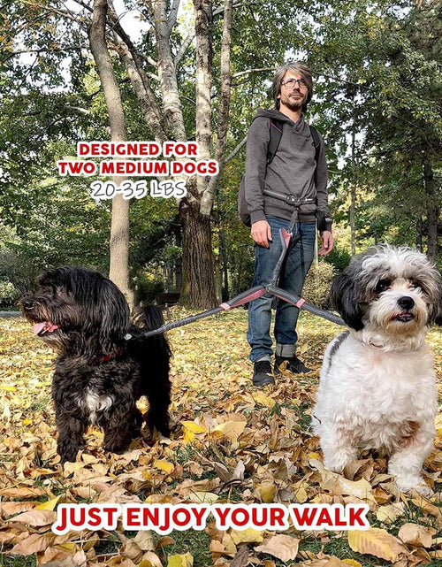 Load image into Gallery viewer, Exquisite Hands Free Double Dog Leash for Small Dogs | Dual Dog Leash | Two Dog Leash No Tangle | Multiple Dog Leash for 2 Dogs | Double Leash | Leash Splitter | Double Clip Leash Coupler
