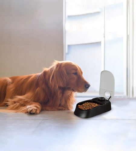 Automatic Pet Feeder for Dogs and Cats, 1.5 Cup Food Dispenser Feeder with 48-Hour Timer - Single