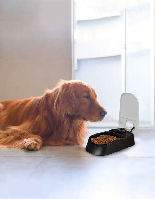 Load image into Gallery viewer, Automatic Pet Feeder for Dogs and Cats, 1.5 Cup Food Dispenser Feeder with 48-Hour Timer - Single

