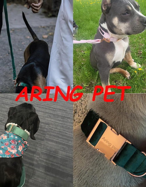 Load image into Gallery viewer, Dog Collar and Leash, Velvet Dog Collar and Leash Set, Soft &amp; Comfy, Adjustable Collars for Dogs
