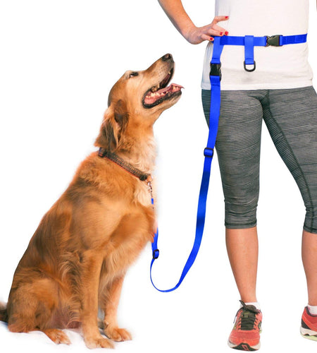 Hands Free Dog Leash, Adjustable Leash for Running, Jogging, Training and Service Dogs, Great for Small, Medium and Large Dogs, Made in USA (Royal Blue, Large Belt (27"- 50" Waist))
