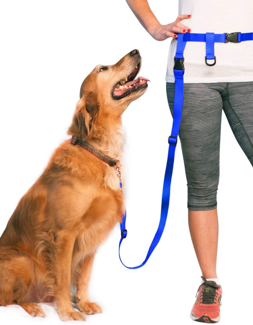 Load image into Gallery viewer, Hands Free Dog Leash, Adjustable Leash for Running, Jogging, Training and Service Dogs, Great for Small, Medium and Large Dogs, Made in USA (Royal Blue, Large Belt (27"- 50" Waist))
