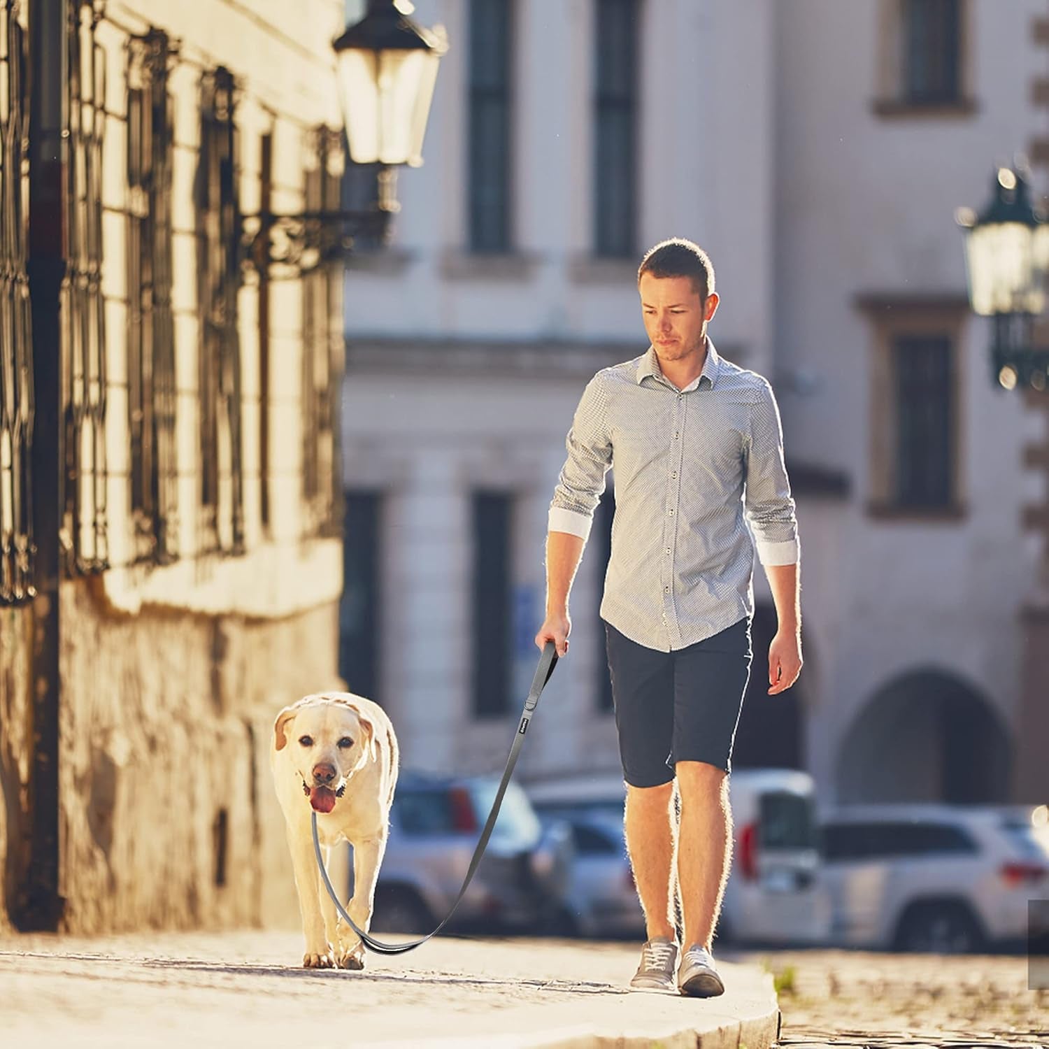 4FT Heavy Duty Dog Leash with Soft Padded Double Handle, Durable Strong Clasp Dog Leashes, Reflective Nylon Walking Lead for Large,Medium,Small Breed Dogs, Grey