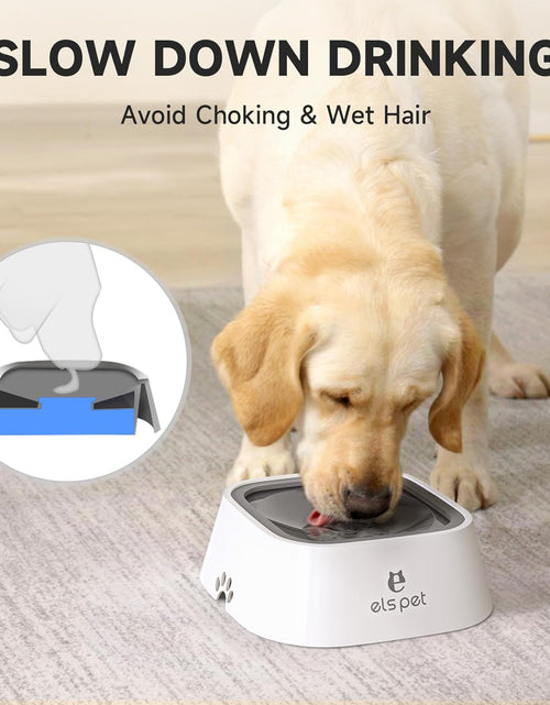 Load image into Gallery viewer, 1L/2L/70Oz Dog Spill Proof Pet Water Bowl, Anti-Choking Water Bowl, Slow Water Feeder Pet Water Dispenser Carried Water Bowls for Dogs, Cats &amp; Pets
