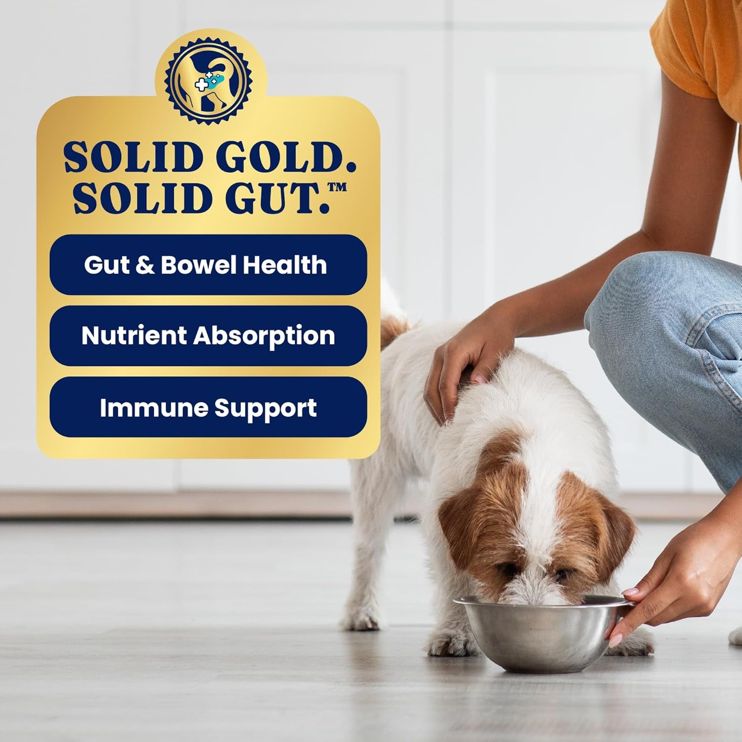 Weight Management Dog Food - Fit & Fabulous Wet Grain Free Dog Food Made with Real Chicken, Sweet Potato and Green Bean - for Weight Control and Dogs with Sensitive Stomachs
