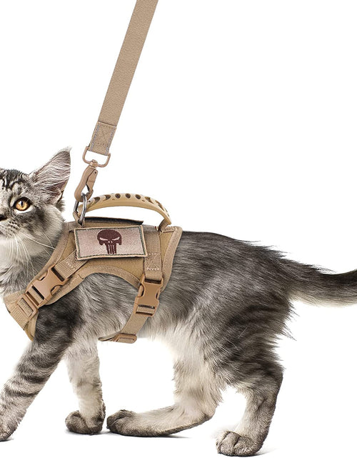 Load image into Gallery viewer, Tactical Cat Harness and Leash Set for Walking Escape Proof, Adjustable Large Cat Vest Harness with Molle Patches, Soft Mesh Padding, Rubber Handle Easy to Control

