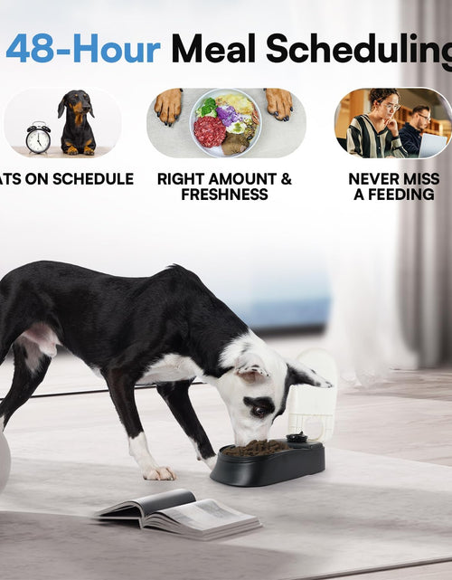 Load image into Gallery viewer, Automatic Pet Feeder for Dogs and Cats, 1.5 Cup Food Dispenser Feeder with 48-Hour Timer - Single
