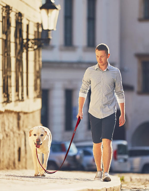 Load image into Gallery viewer, 4FT Heavy Duty Dog Leash with Soft Padded Double Handle, Durable Strong Clasp Dog Leashes, Reflective Nylon Walking Lead for Large,Medium,Small Breed Dogs, Red
