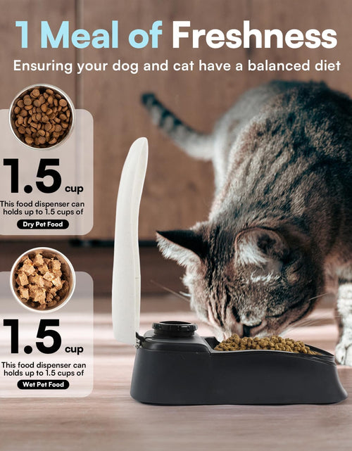 Load image into Gallery viewer, Automatic Pet Feeder for Dogs and Cats, 1.5 Cup Food Dispenser Feeder with 48-Hour Timer - Single

