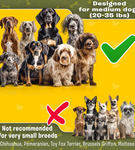 Exquisite Hands Free Double Dog Leash for Small Dogs | Dual Dog Leash | Two Dog Leash No Tangle | Multiple Dog Leash for 2 Dogs | Double Leash | Leash Splitter | Double Clip Leash Coupler